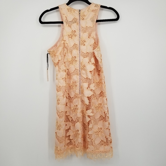 Lovers + Friends | NWT Caspian Lace Sleeveless Shift Mini Dress - Picture 3 of 11